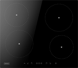 Induktionsfeld Reparatur Lüneburg
